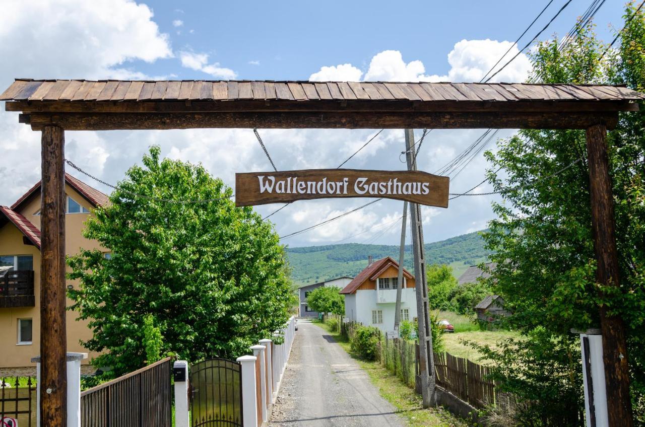 Casa De Oaspeti Wallendorf Bistrita Unirea Экстерьер фото