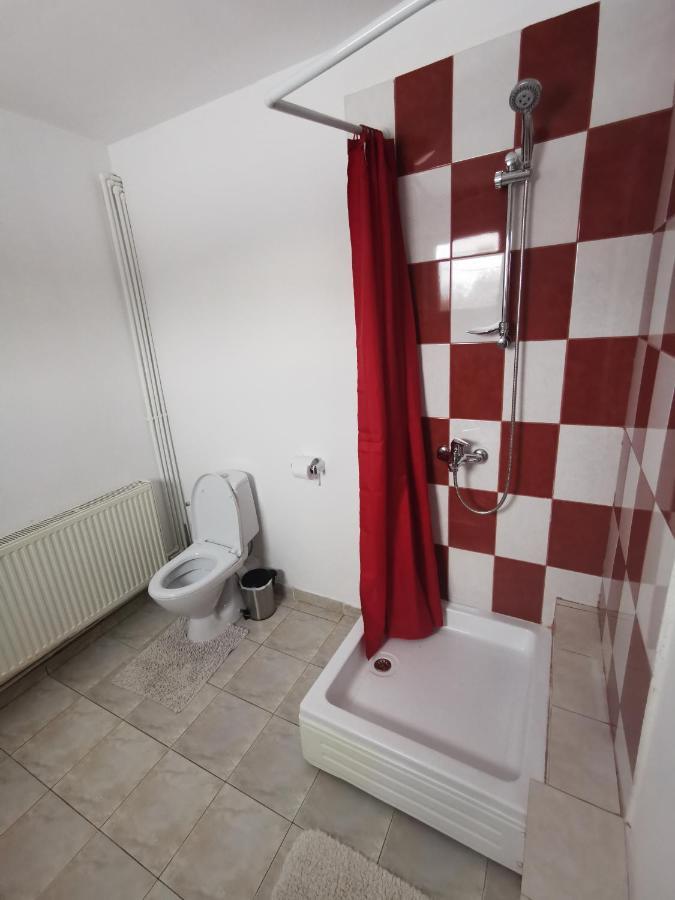Casa De Oaspeti Wallendorf Bistrita Unirea Экстерьер фото