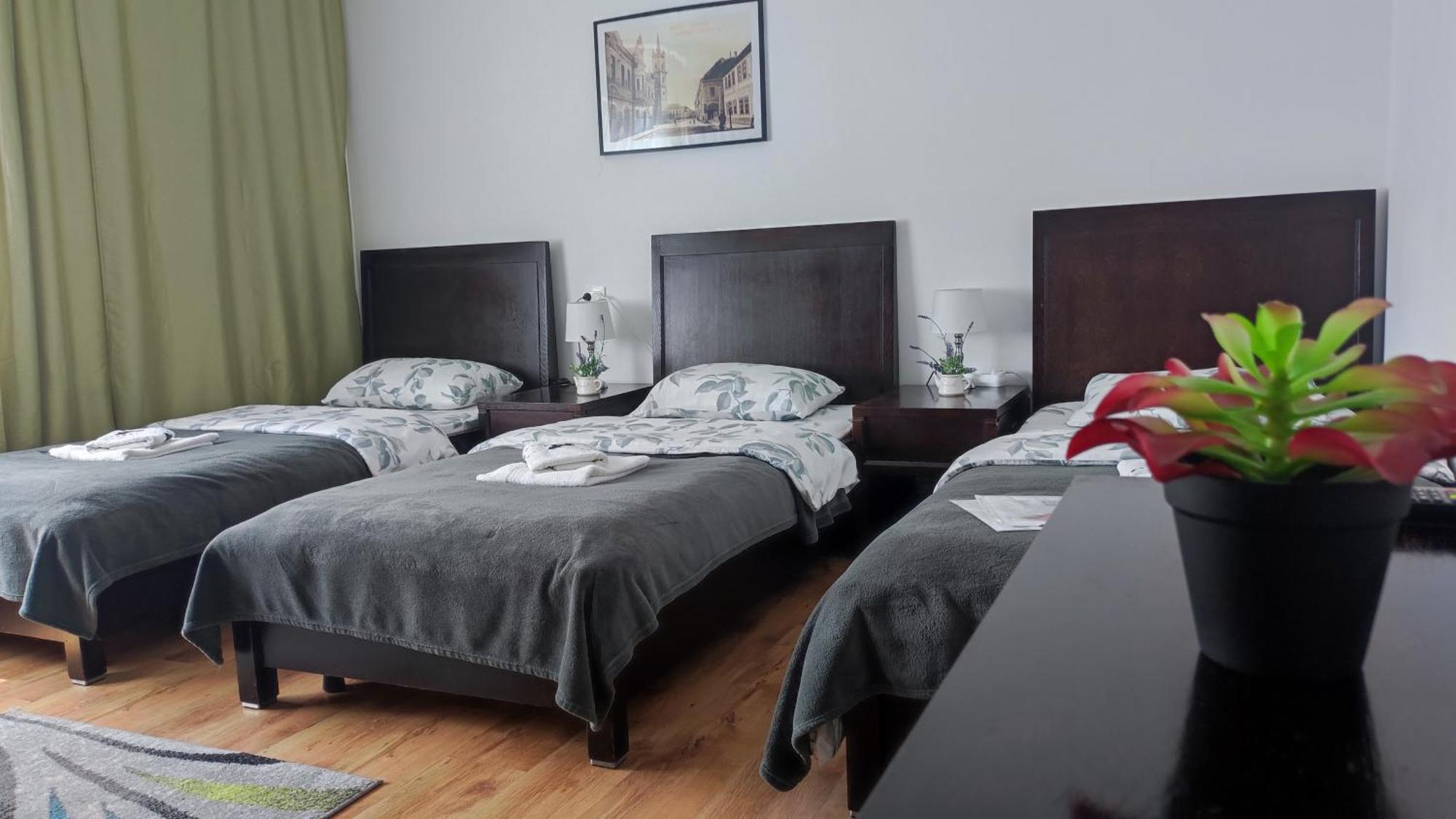 Casa De Oaspeti Wallendorf Bistrita Unirea Номер фото